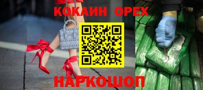 твердый Кингисепп