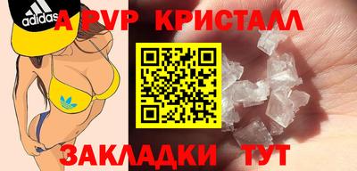 твердый Кингисепп