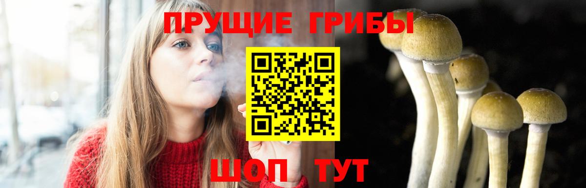 Галлюциногенные грибы мицелий  Галлюциногенные грибы Psilocybe  Янаул  Вход с VPN 